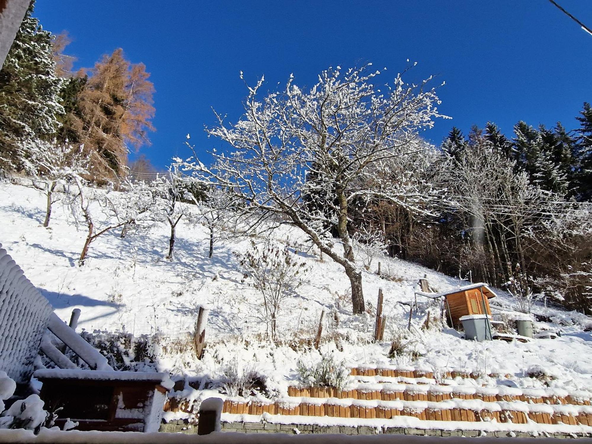 Pension Sonnenheim Rooms&Apartments Gmünd 外观 照片